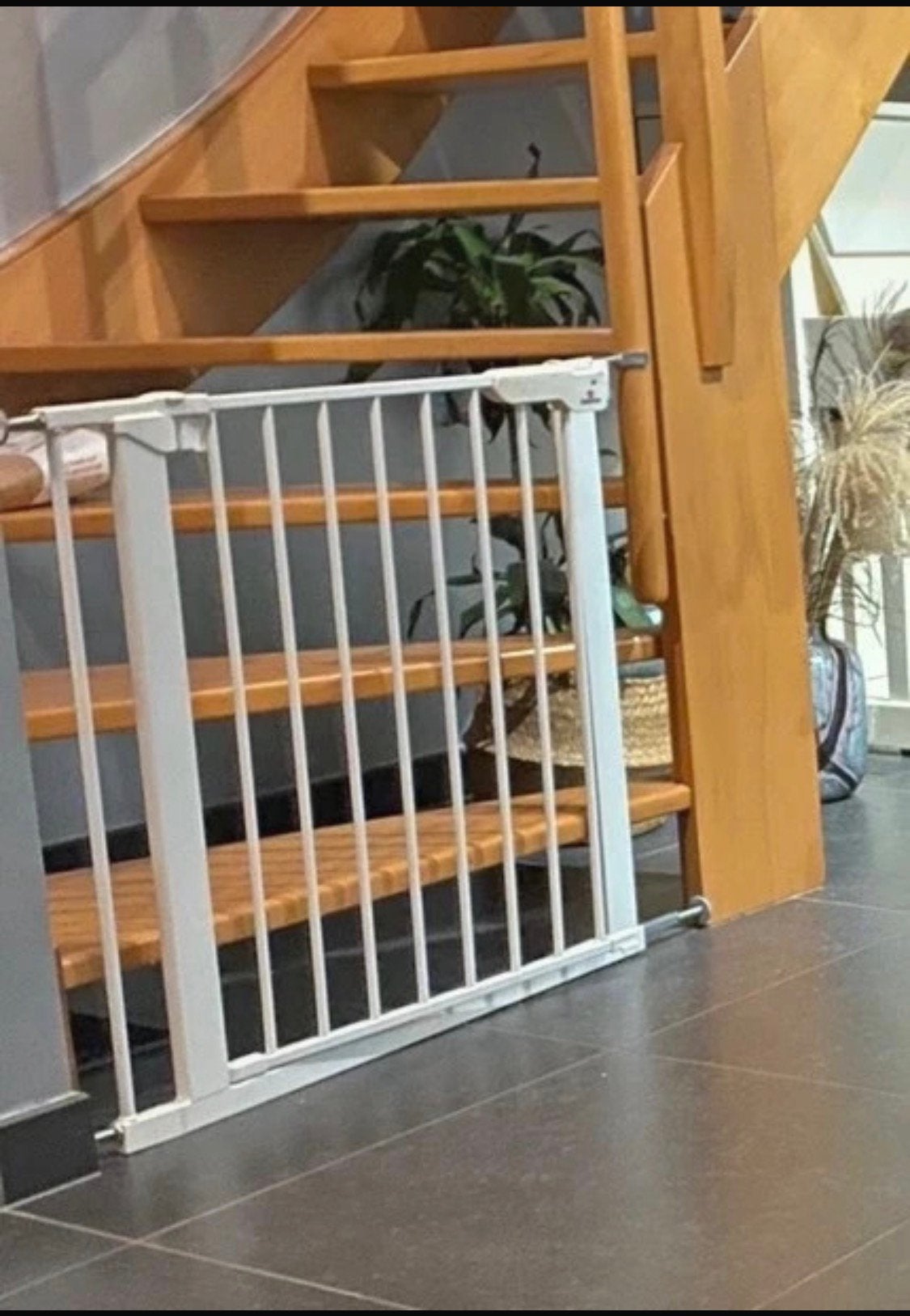 Deurhekje  premier babyDan eyes for safety, Ophalen
