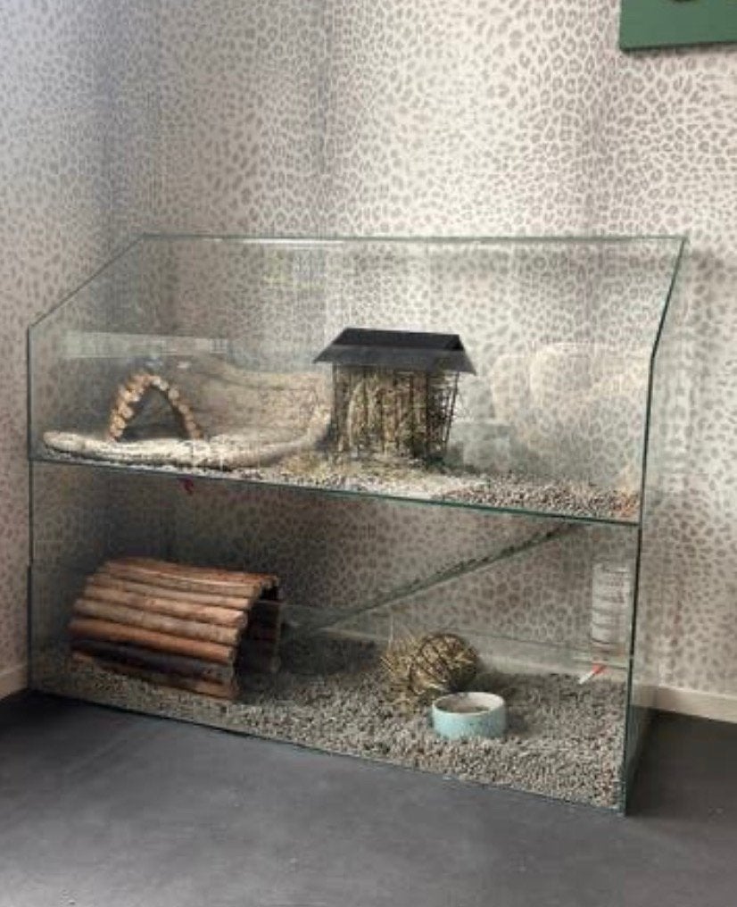 Cavia knaagdieren hok kooi, Ophalen, 60 tot 90 cm, Zo goed als nieuw, Hok