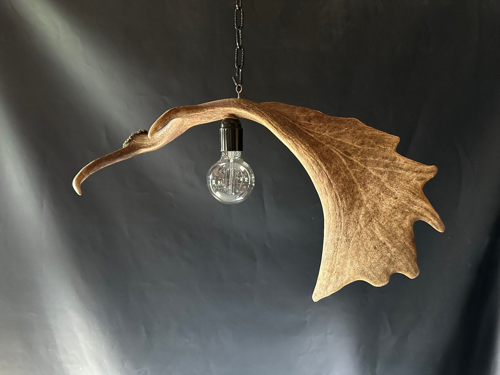 Geweienlamp.lamp.hanglamp.geweien.edelhert.damhert.brocante, Ophalen of Verzenden, Nieuw