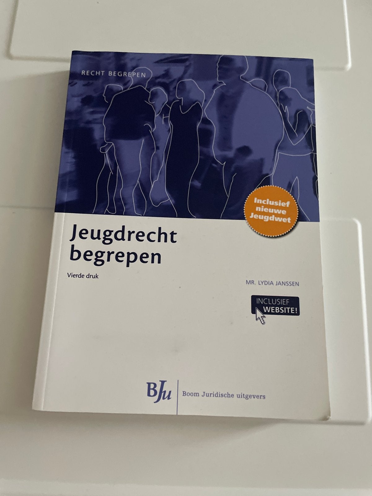 Jeugdrecht Begrepen - Inclusief Nieuwe Jeugdwet, Boeken, Studieboeken en Cursussen, Ophalen of Verzenden, Gamma, Zo goed als nieuw