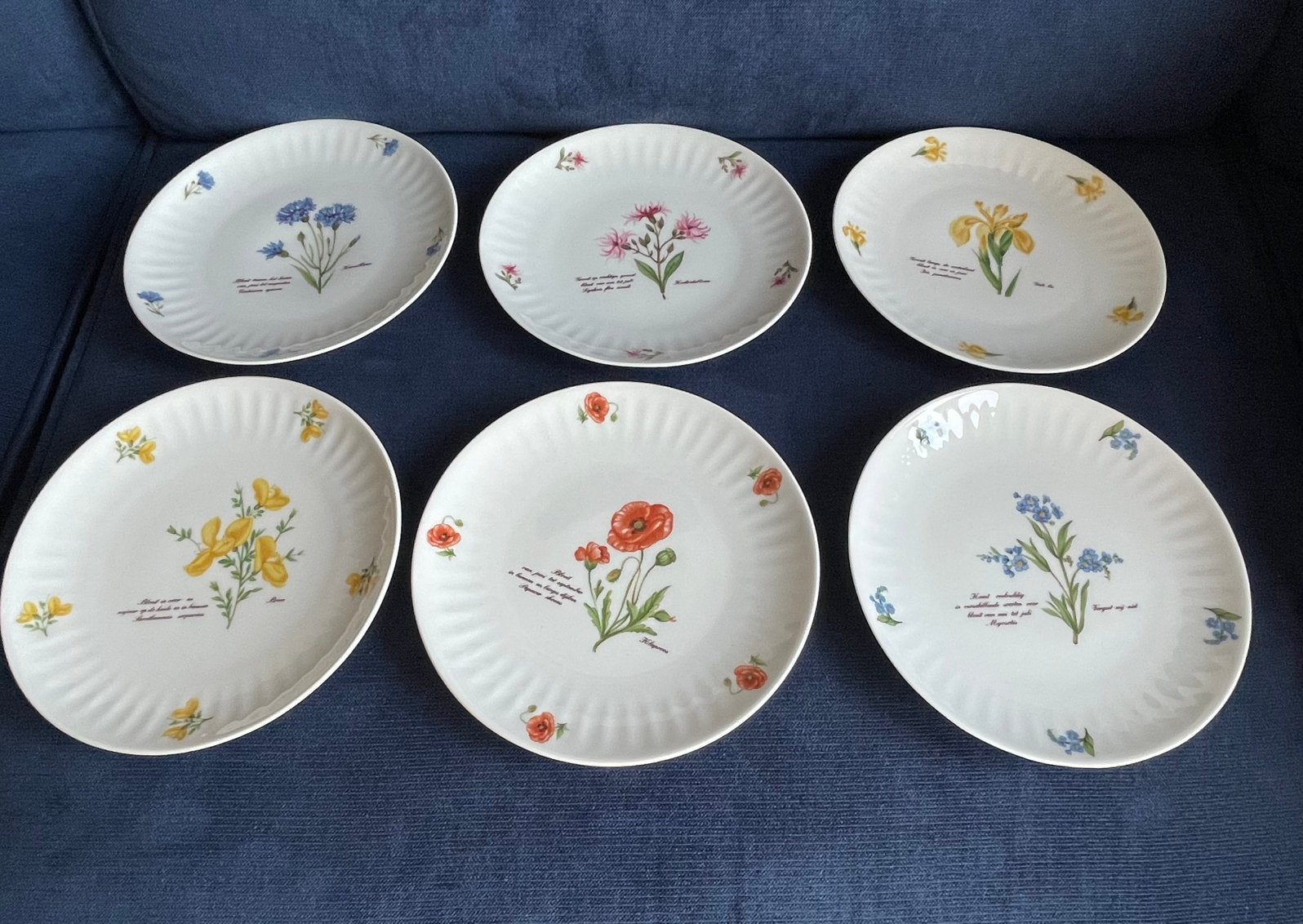 Complete set ontbijtbordjes Exclusief Libelle Porcelein.6 st, Huis en Inrichting, Keuken | Servies, Ophalen of Verzenden, Zo goed als nieuw