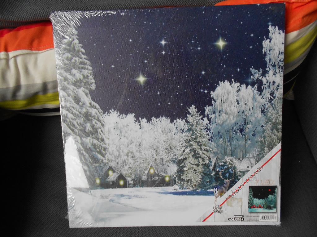 indoor canvas met 7 led lichtjes huisjes bomen sneeuw, Diversen, Kerst, Ophalen, Nieuw