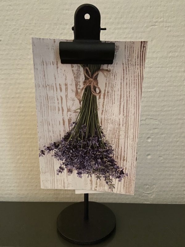 Deco-knijpstandaard 20 cm met vaste knijper 4 stuks samen, Ophalen of Verzenden, Nieuw