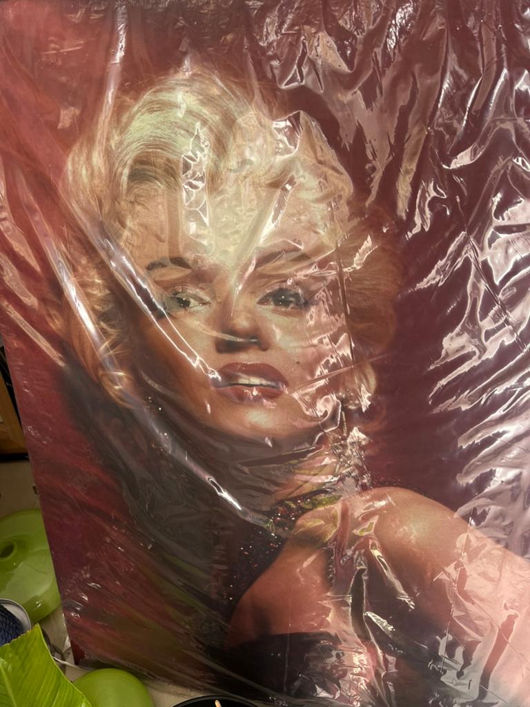 Groot canvas doek nieuw!!!, Verzamelen, Ophalen of Verzenden, Zo goed als nieuw, Overige typen