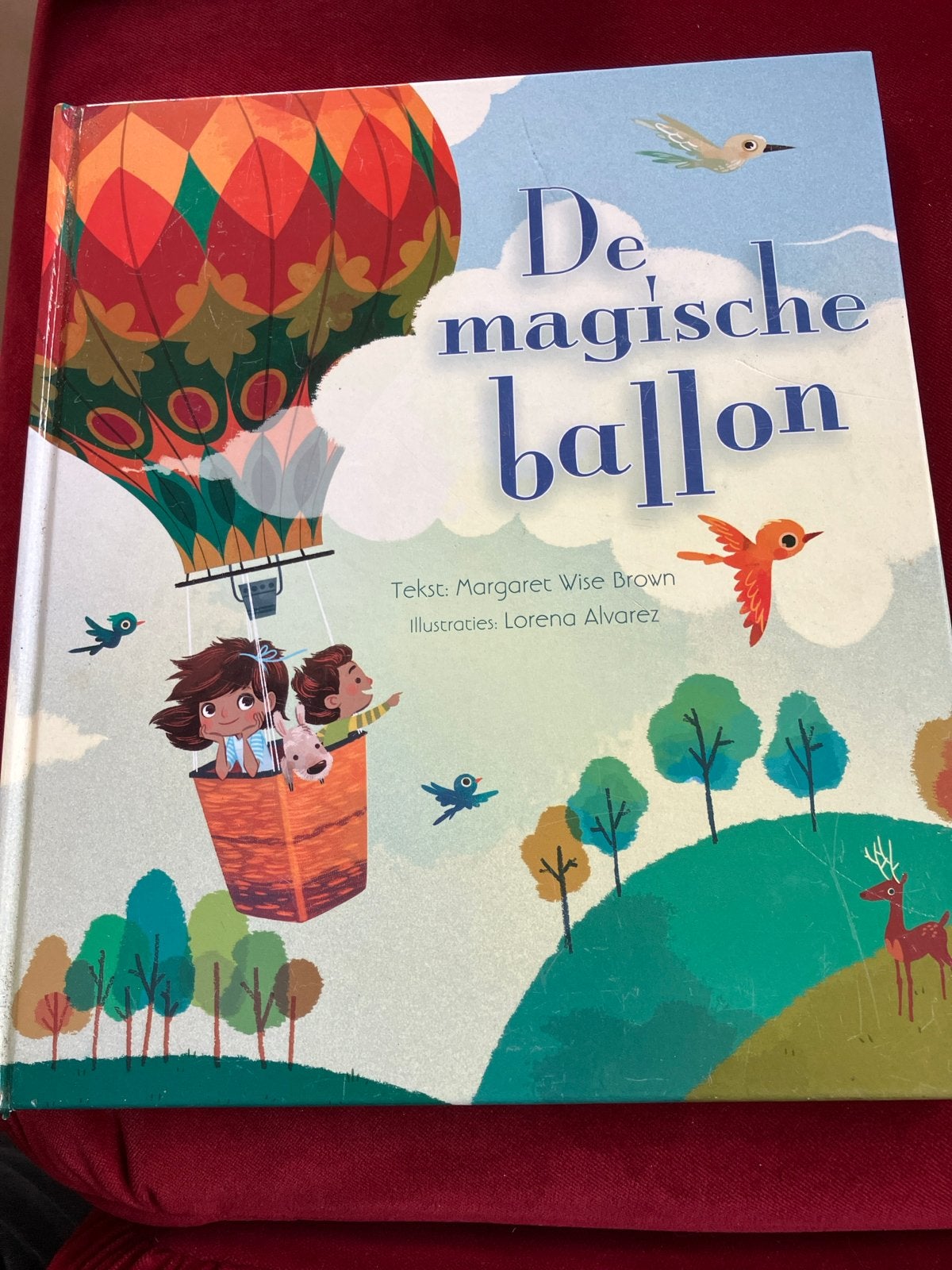 De magische ballon - Avontuurlijk kinderboek, Fictie algemeen, Jongen of Meisje, Ophalen of Verzenden, Zo goed als nieuw