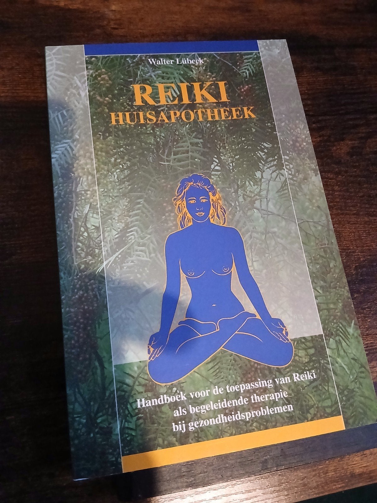 Reiki Huisapotheek - Walter Lübeck, Sociale wetenschap, Ophalen of Verzenden, Zo goed als nieuw, W. Lubeck