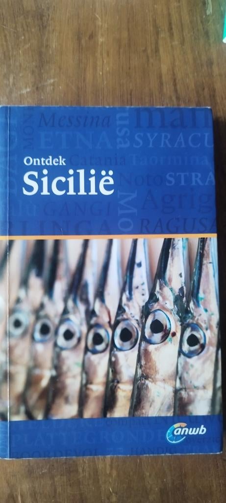 ANWB Reisgids Sicilië: Ontdek, Boeken, Europa, Ophalen of Verzenden, Zo goed als nieuw, Reisgids of -boek