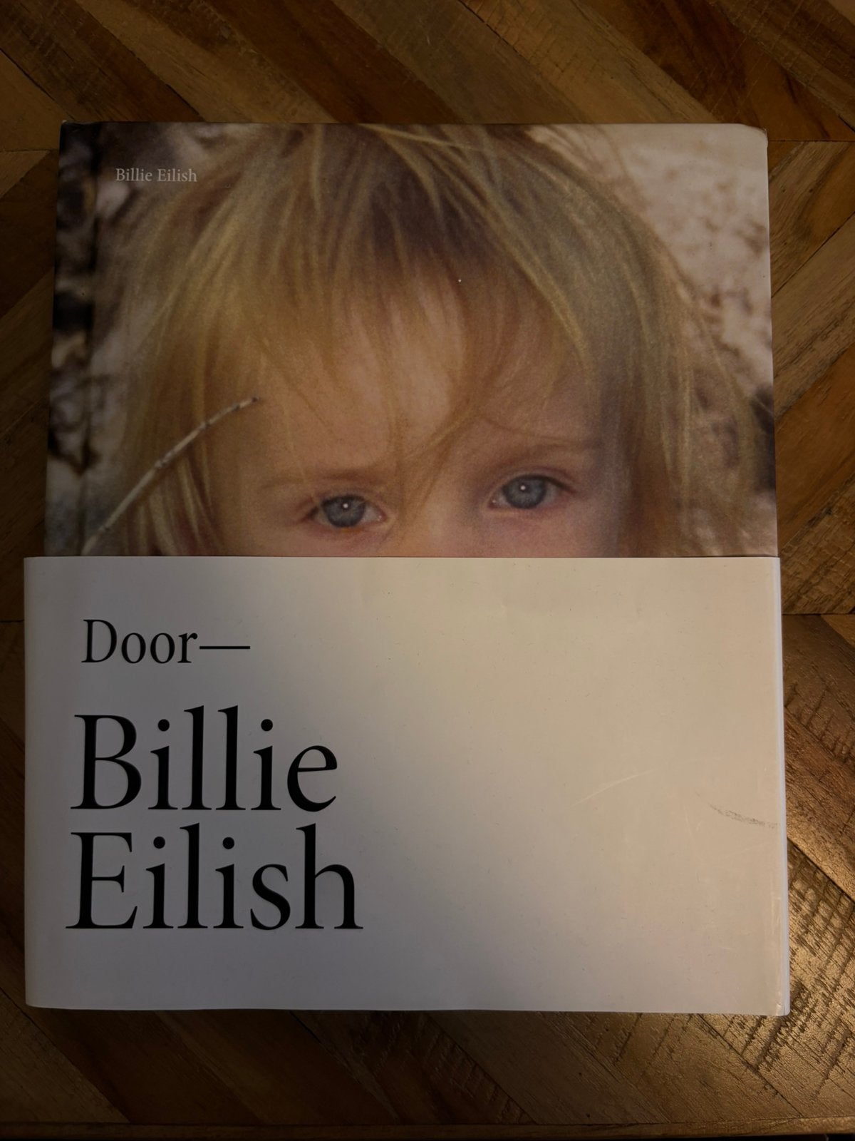 Billie Eilish boek - NL, Boeken, Ophalen of Verzenden, Zo goed als nieuw