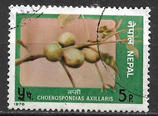 Nepal 1978 Fruit Nepali hog-plum basis voor augurk, Verzenden, Gestempeld, Zuid-Azië