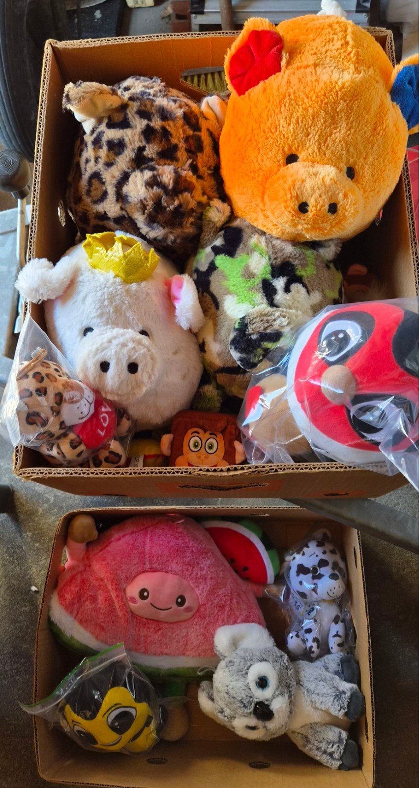 Grote collectie knuffels:, Diversen, Ophalen of Verzenden, Nieuw