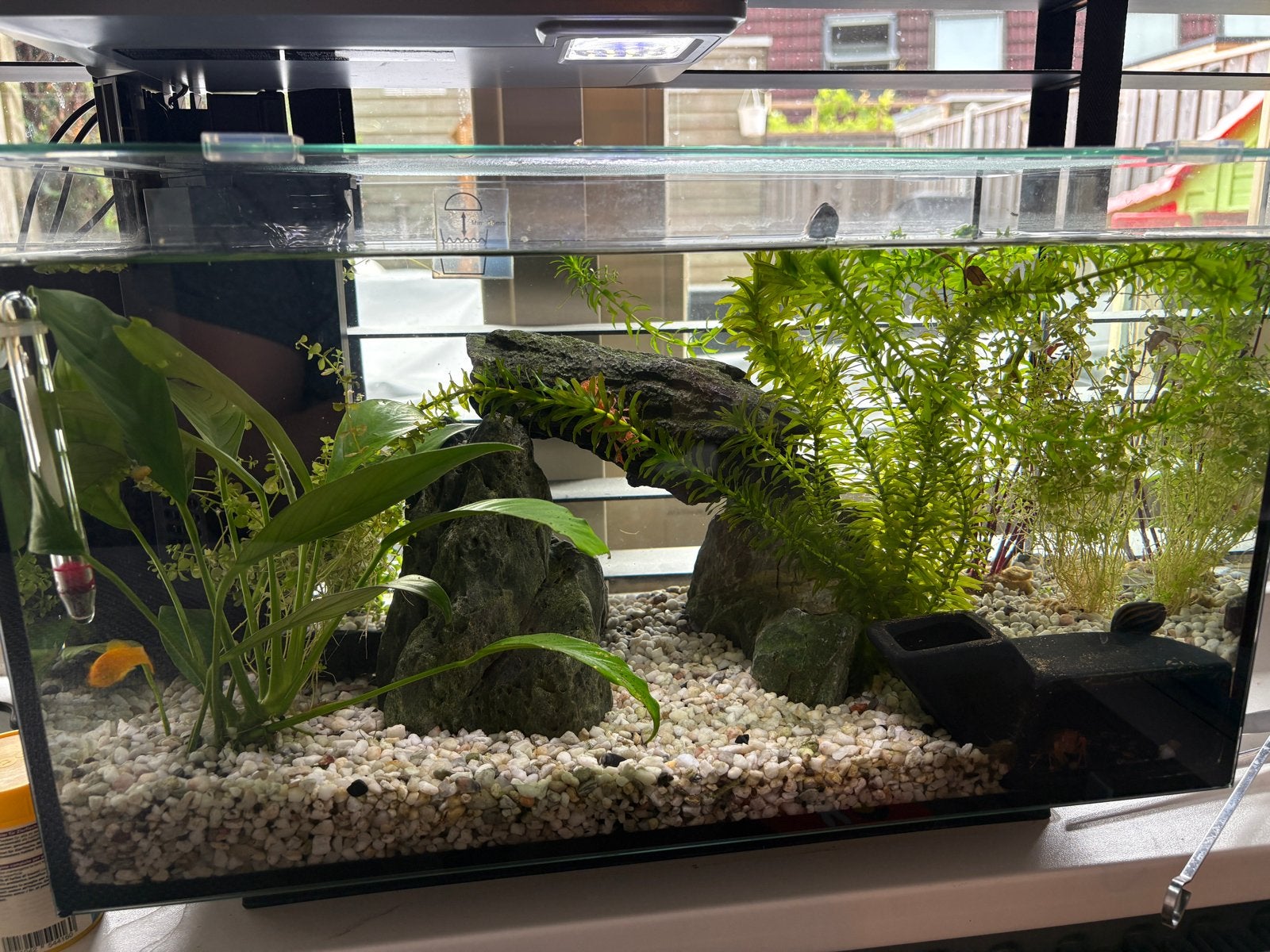 SuperFish Quadro 40 gevuld, Dieren en Toebehoren, Vis