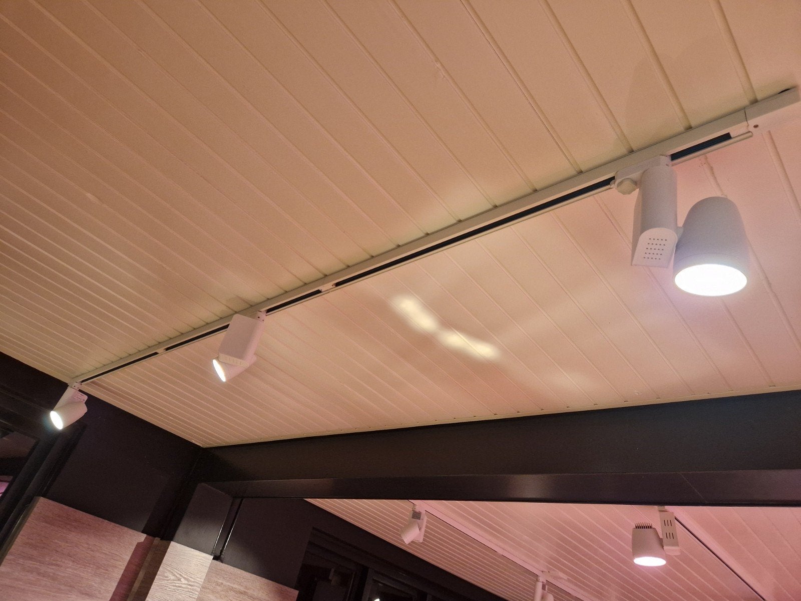 Foto 9 van Vleeslampen diverse maten met 10m geleiderail