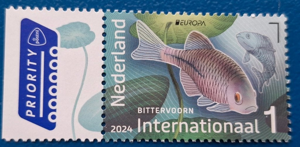NVPH 4198 Onderwaternatuur - 2024, Verzenden, Na 1940, Postfris