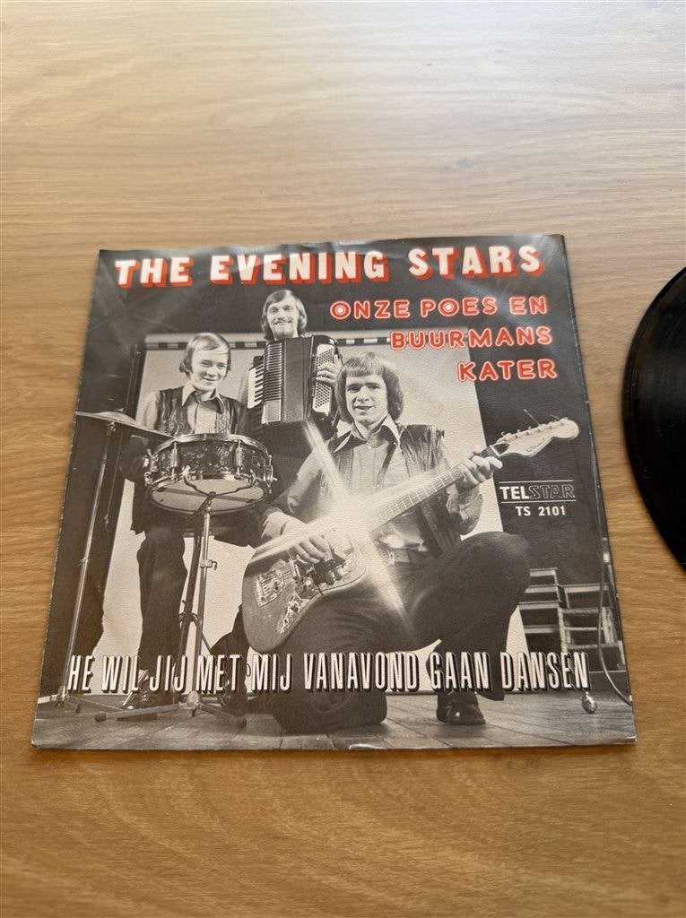 The Evening Stars - Onze poes en buurmans kater, Cd's en Dvd's, Vinyl Singles, Ophalen of Verzenden, Zo goed als nieuw, Nederlandstalig
