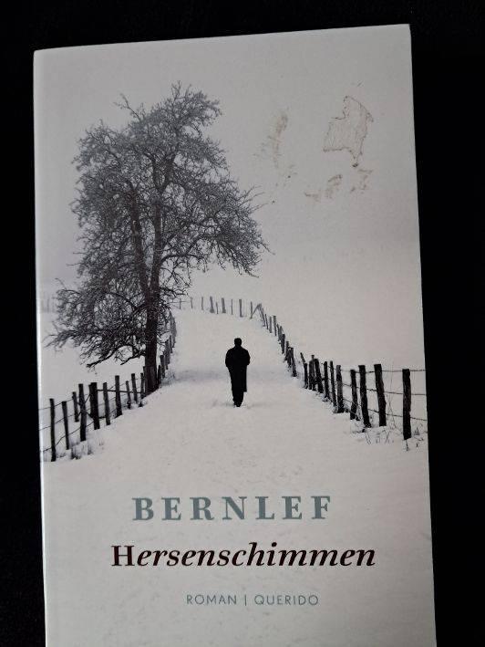 Hersenschimmen : Bernlef., Boeken, Ophalen of Verzenden, Nieuw
