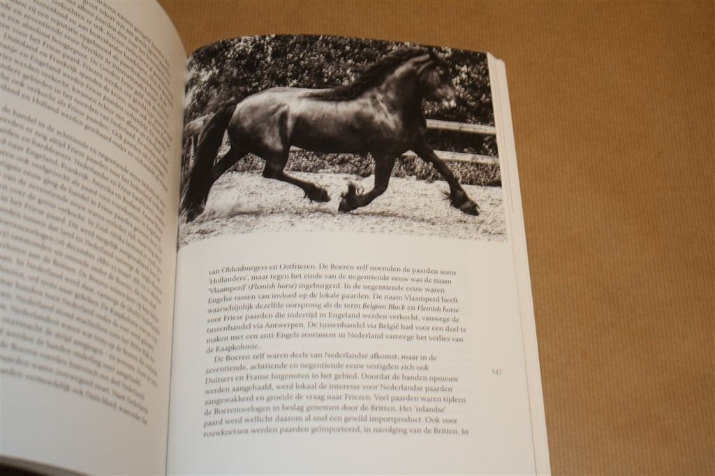 Het Friese paard. Jorieke Savelkouls. Zeldzaam., Ophalen of Verzenden, Gelezen, Paarden of Pony's