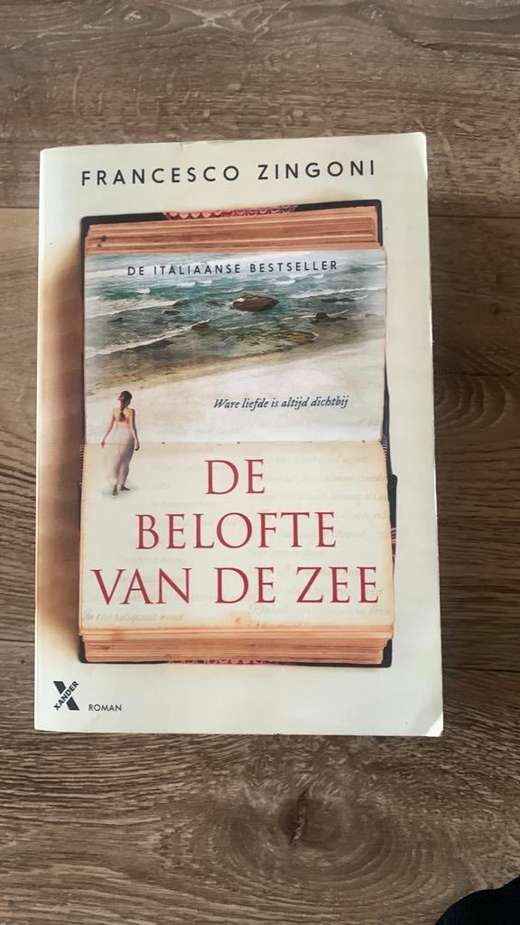 Francesco Zingoni - De belofte van de zee, Ophalen of Verzenden, Zo goed als nieuw, Francesco Zingoni