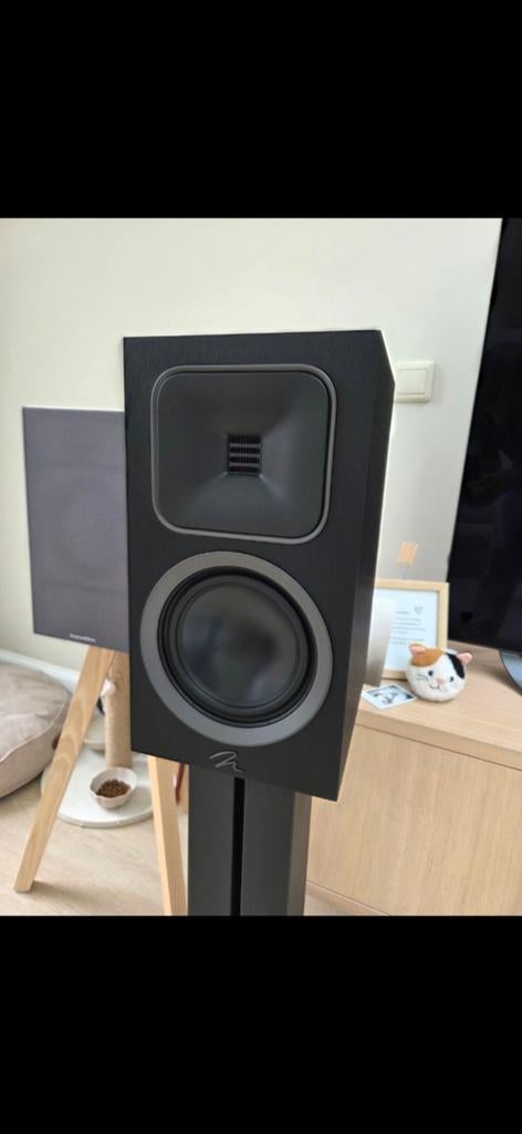 Martin Logan Foundation B1 Speakers (afhalen)