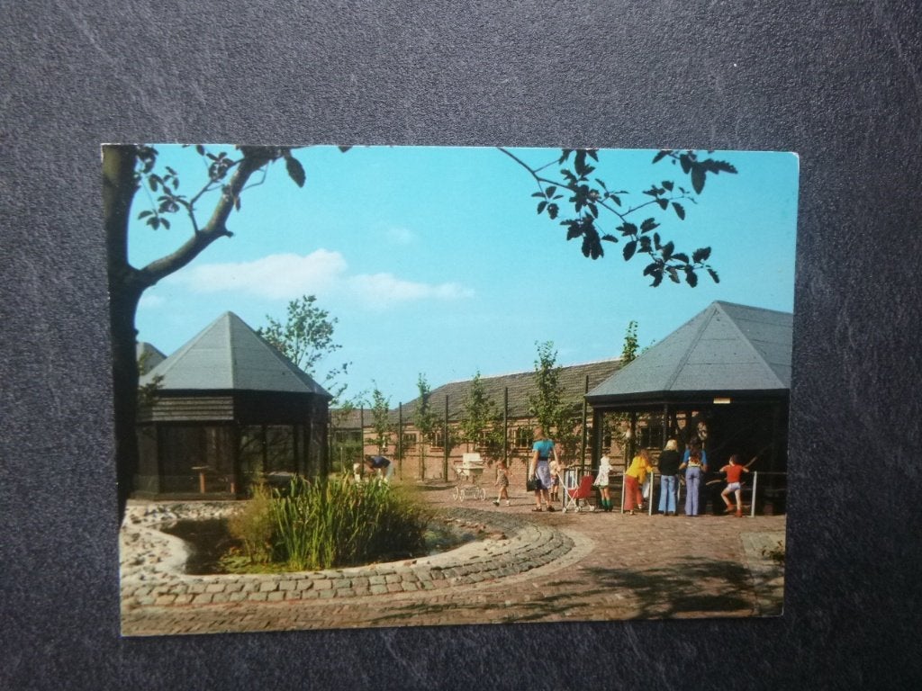 Schaijk, voliere- Aquaria-apen  1979, Verzenden, 1960 tot 1980, Gelopen, Noord-Brabant