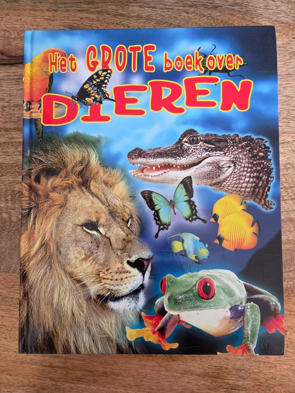 Het Grote Boek over Dieren - Informatief en kleurrijk, Ophalen of Verzenden, Gelezen