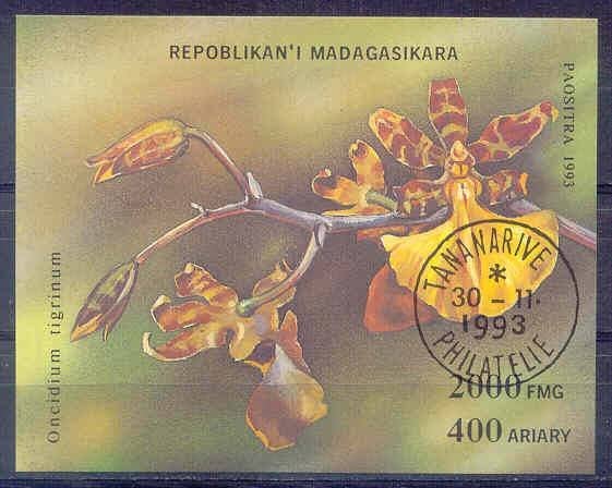 Madagaskar 1993 blok 239 gest., Ophalen of Verzenden, Overige landen, Gestempeld