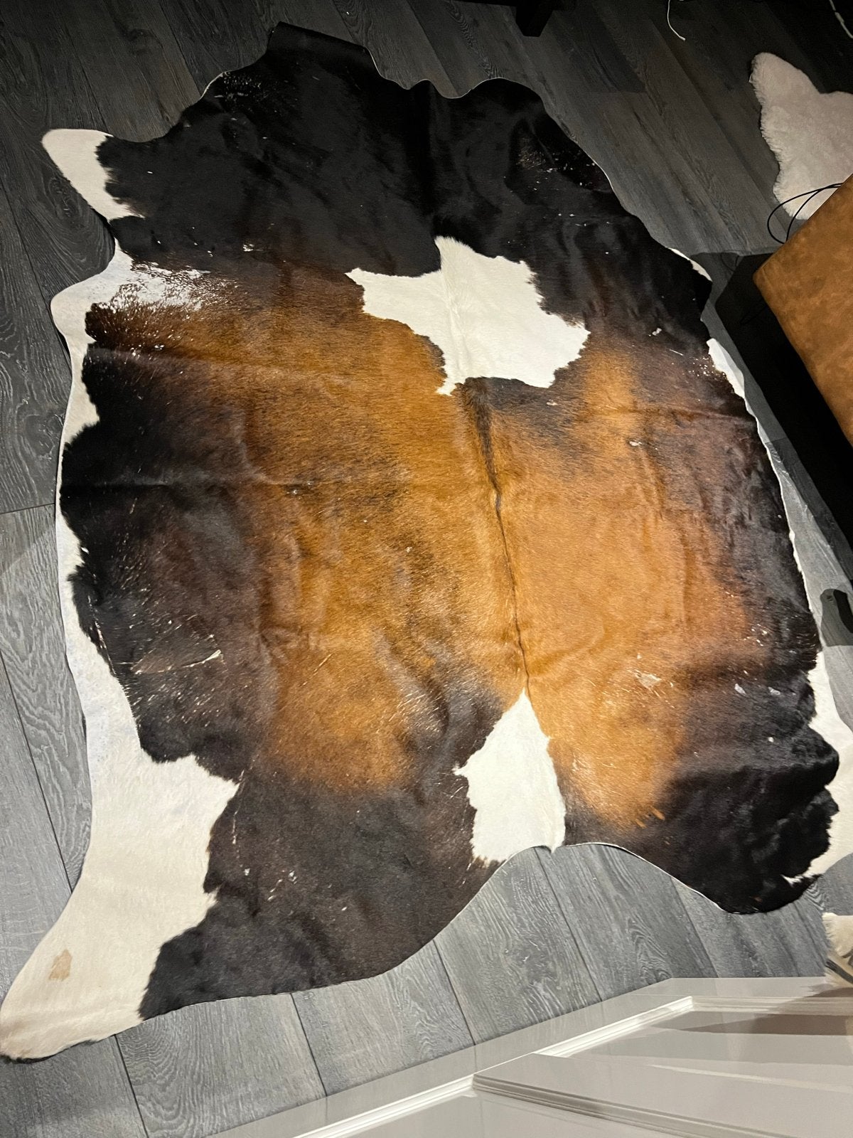 Prachtig koeienhuid vloerkleed - Zwart, bruin, wit, Ophalen, Zwart, 150 tot 200 cm, 200 cm of meer