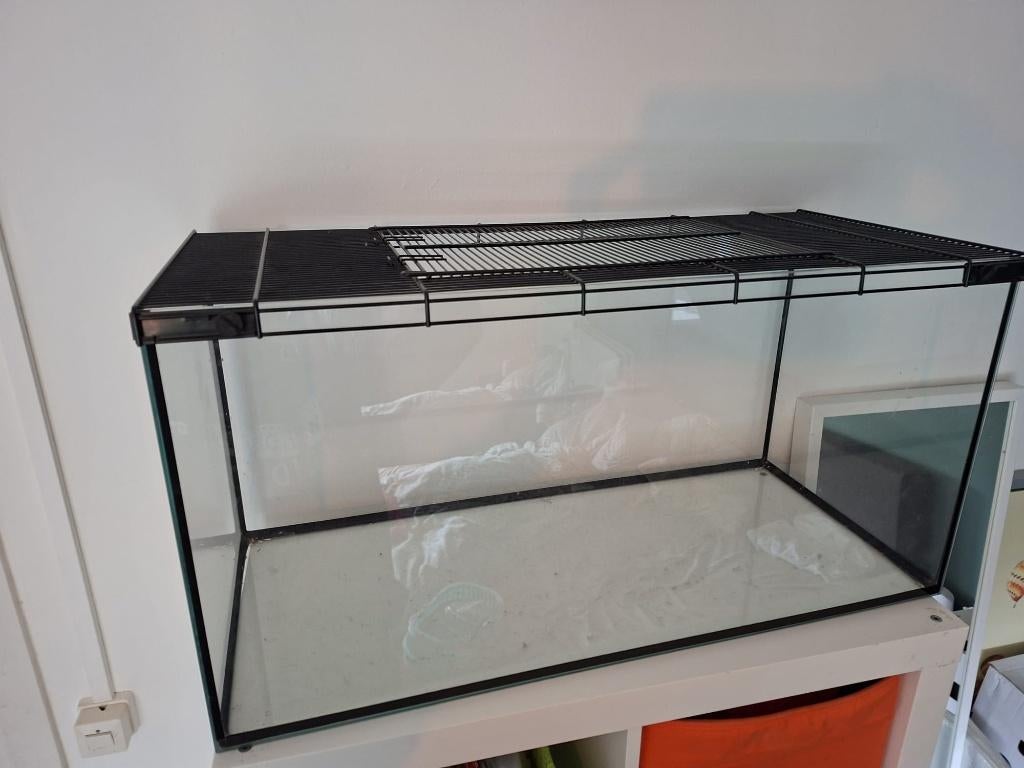 Hamster kooi - 80x35x40, Dieren en Toebehoren, Kooi, Gebruikt, Hamster, 75 tot 110 cm