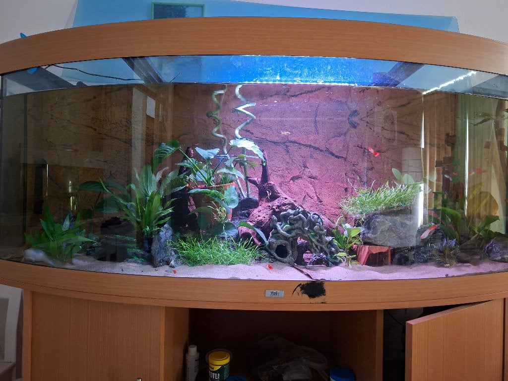 Juwel vision 450 moet weg, Dieren en Toebehoren, Vissen | Aquaria en Toebehoren, Ophalen of Verzenden, Gebruikt, Leeg aquarium