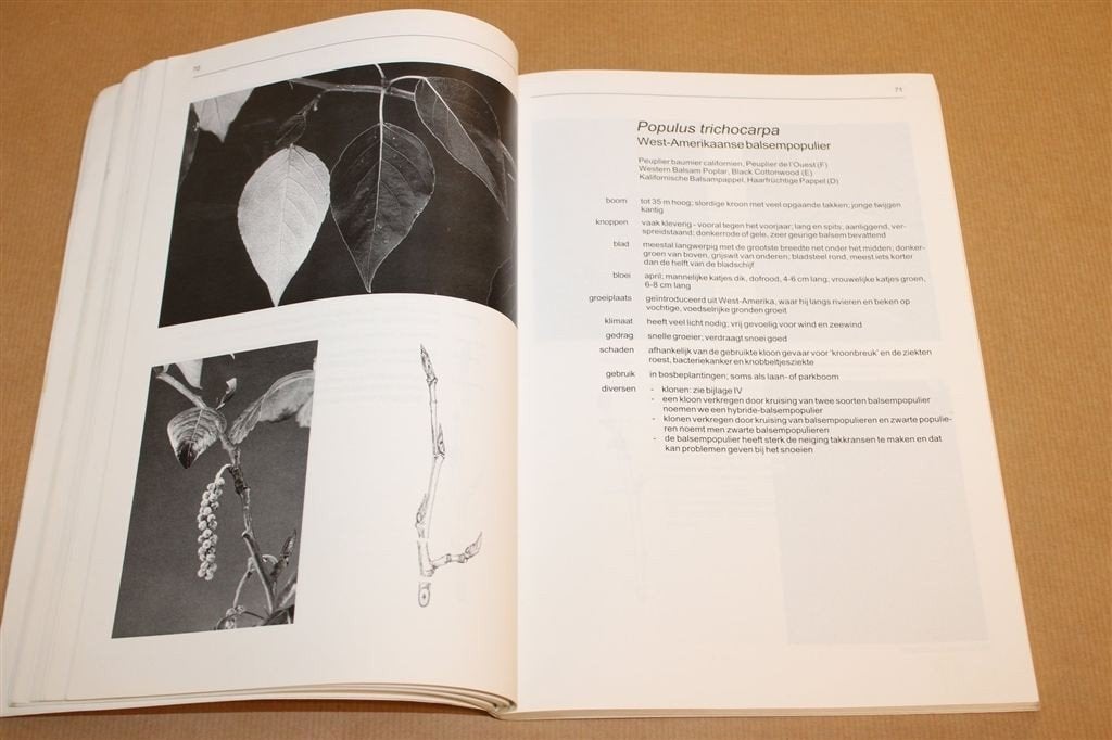 Bosplantsoen — Standaardwerk Groenbeheer 11e Druk 1999, Boeken, Ophalen of Verzenden, Gelezen