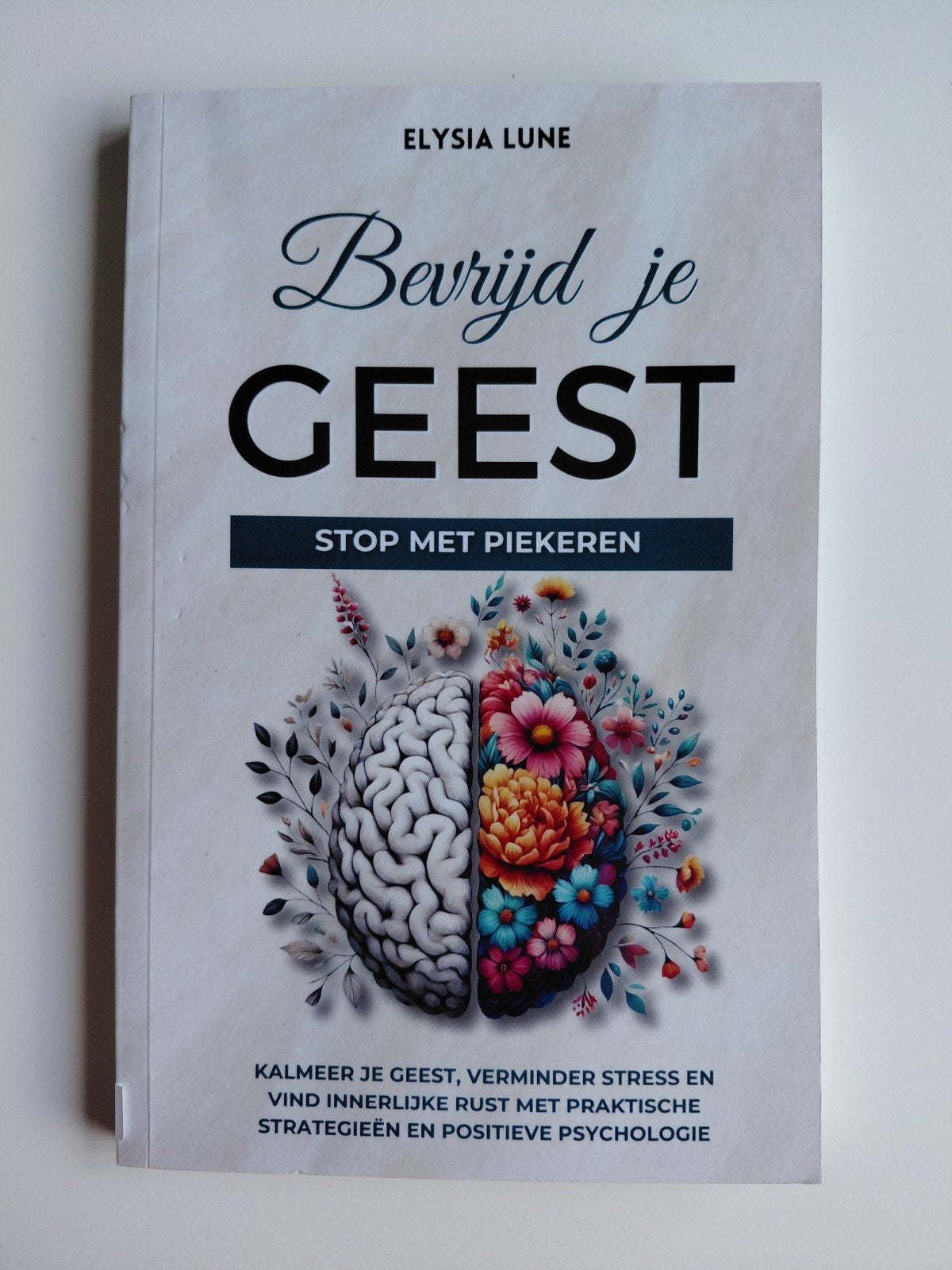Bevrijd je Geest: Stop met Piekeren - Elysia Lune, Ophalen of Verzenden, Zo goed als nieuw, Overige onderwerpen, Elysia Lune
