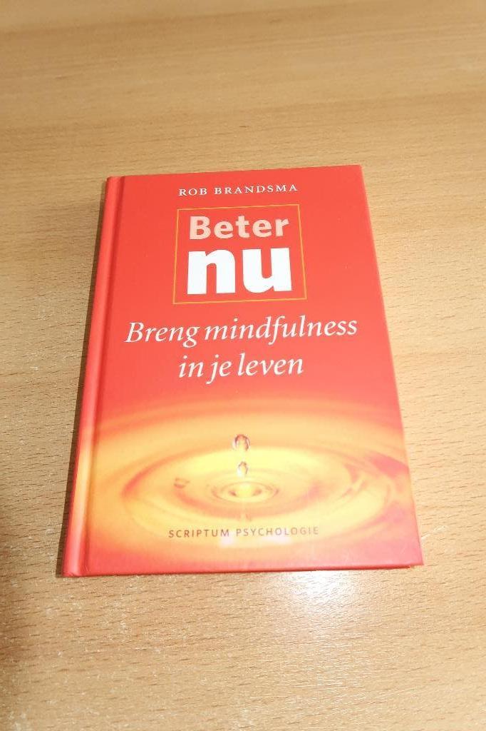 Boek breng mindfulness in je leven van Rob Brandsma, Boeken, Ophalen of Verzenden, Nieuw, Rob Brandsma