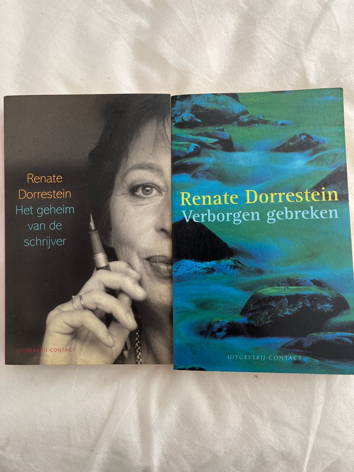 Renate Dorrestein - Het geheim van de schrijver & Verborgen, Ophalen of Verzenden, Gelezen, Nederland