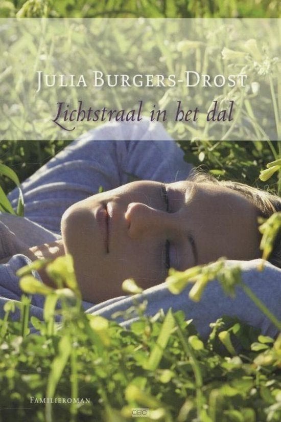 Lichtstraal In Het Dal - Julia Burgers Drost BOEK, Ophalen of Verzenden, Gelezen, Julia Burgers-Drost