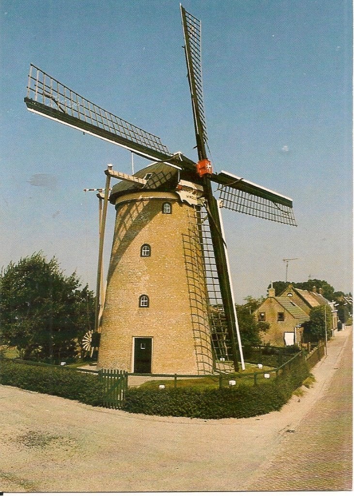 Goudswaard Molen Windlust anno 1694 - Oude Ansichtkaart, Ophalen of Verzenden, 1980 tot heden, Ongelopen, Zuid-Holland