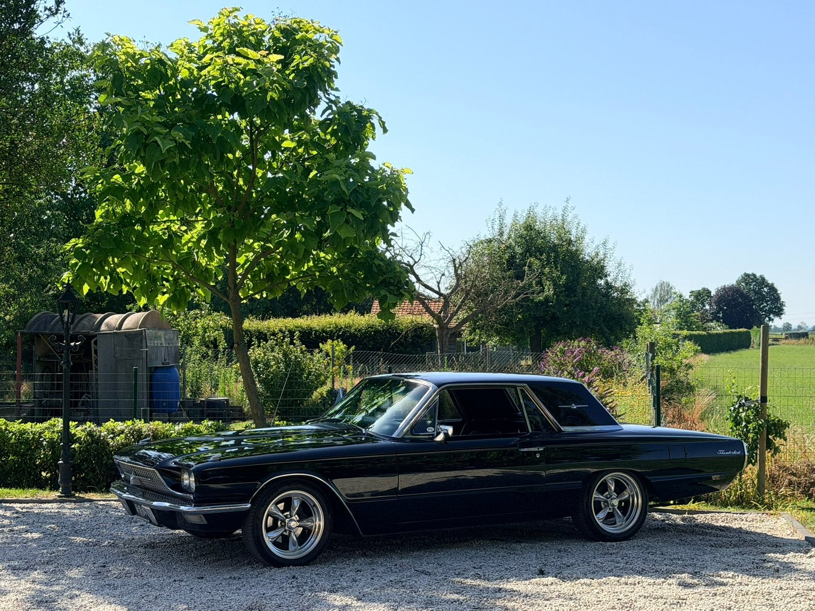 Thunderbird 1966 6,4 liter V8 automaat op Lpg belastingvrij, Auto's, Automaat, Achterwielaandrijving, Zwart, Zwart
