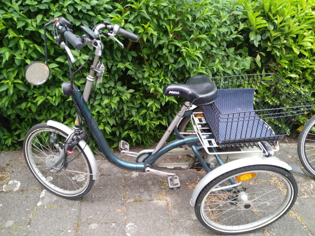 Van Raam Maxi 2 electrische driewieler, Ophalen of Verzenden, Gebruikt