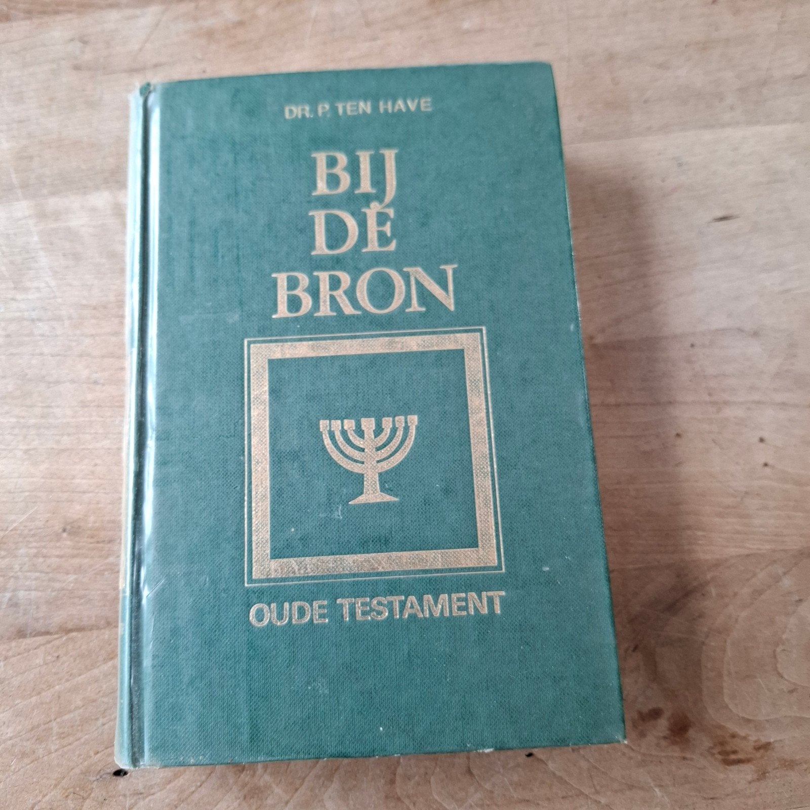 Bij de Bron: Nieuwe en Oude Testament door Dr. P. ten Have, Boeken, Ophalen of Verzenden, Gelezen, Dr. P. ten Have, Christendom | Protestants