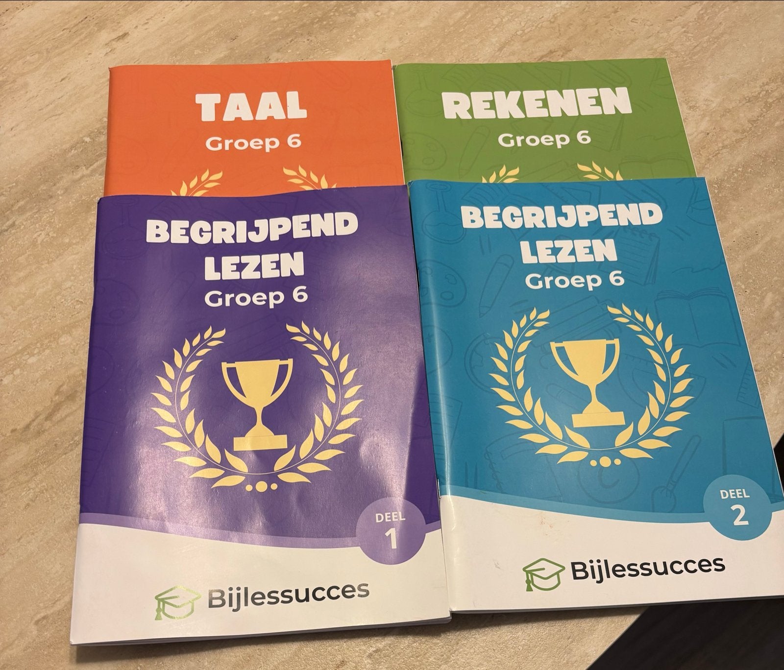 Bijlessucces Oefenboeken Groep 3 & groep 6, Ophalen of Verzenden, Zo goed als nieuw, Overige niveaus, Nederlands