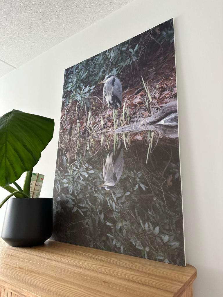 Nieuw Akoestisch Paneel 70x100 met Reiger Print, Ophalen of Verzenden