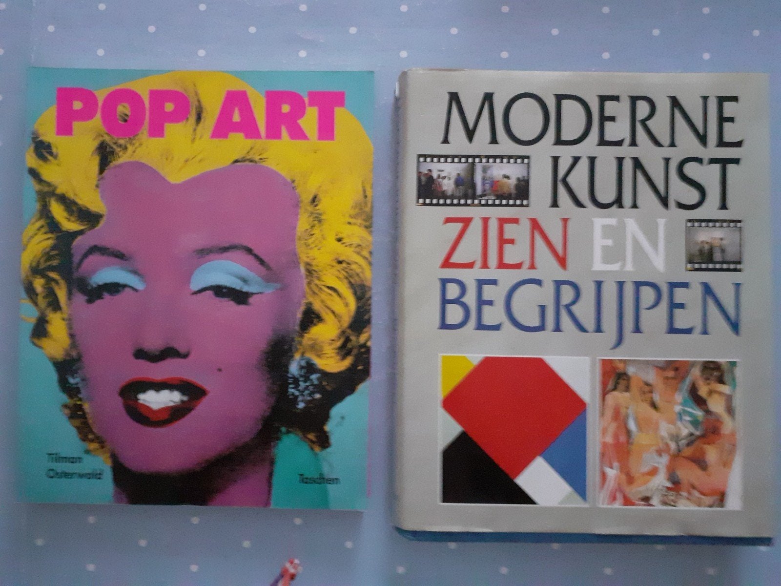 boeken MODERNE KUNST ZIEN EN BEGRIJPEN en POP ART, Ophalen of Verzenden, Gelezen