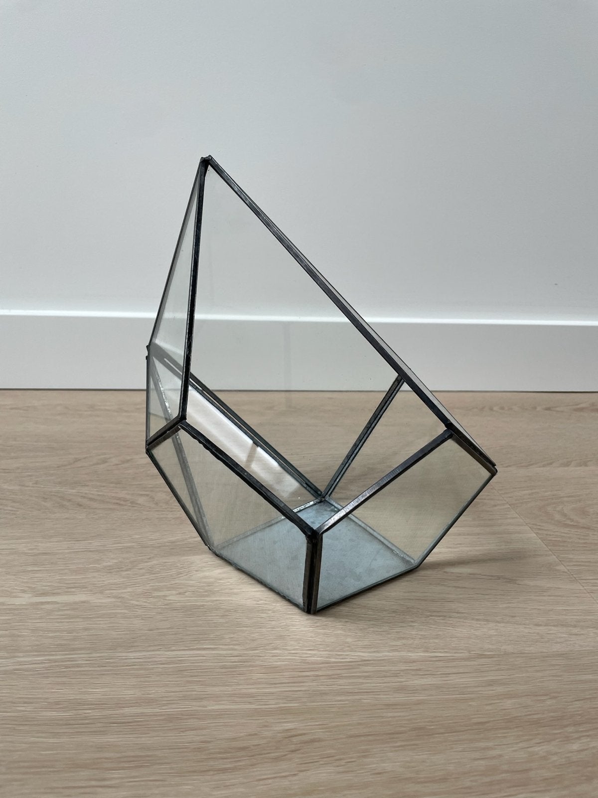 Geometrisch glazen terrarium - zwart, Ophalen of Verzenden, Nieuw