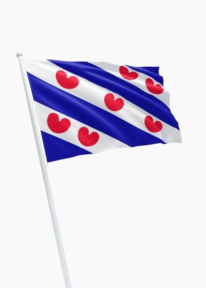 Nieuwe Friese vlag met rvs stok en flagclips, Ophalen, Nieuw