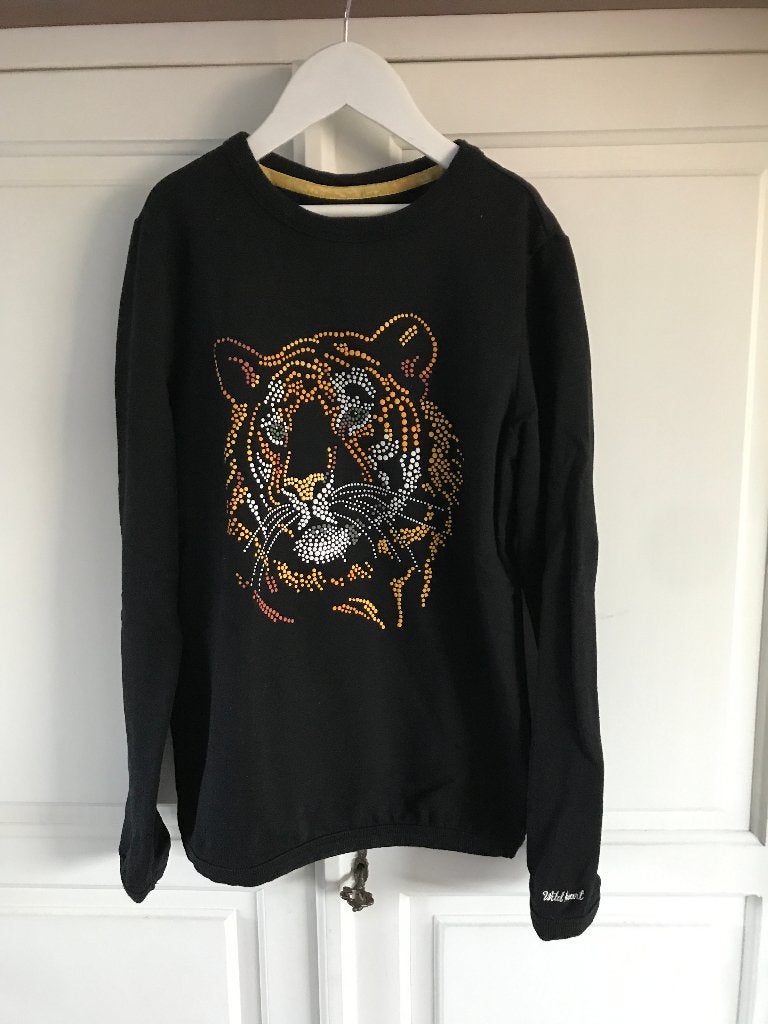 leuk sweatshirt (WE) 146/152, Kinderen en Baby's, Kinderkleding | Maat 146, WE, Meisje, Ophalen of Verzenden, Zo goed als nieuw