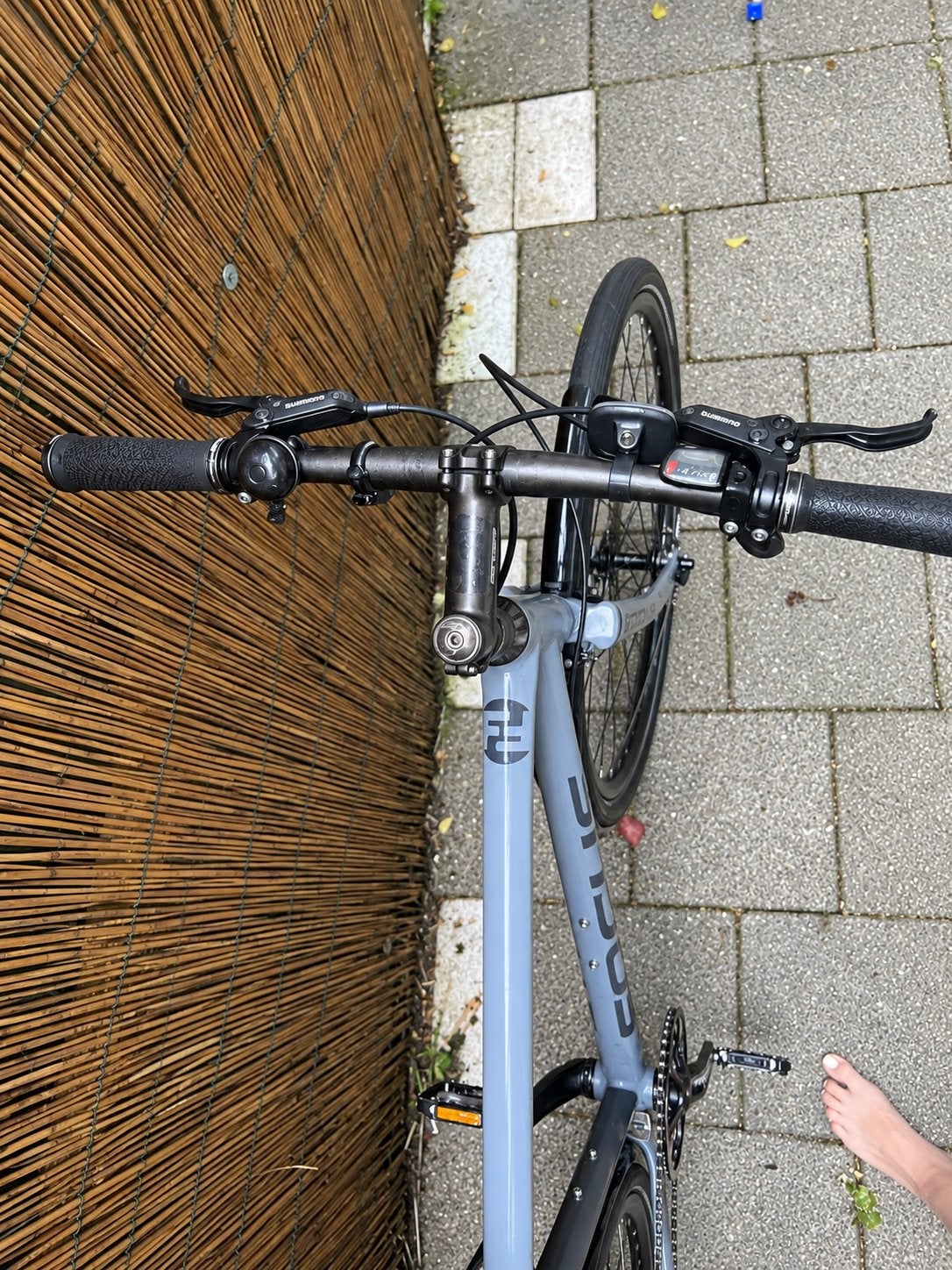 Focus Planet TR 2.0 Urban/Stadsfiets - Shimano Alfine 8-spee, Gebruikt, 57 tot 61 cm, Schijfrem, Ophalen