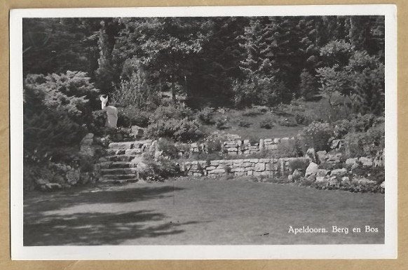 Apeldoorn: Berg en Bos - Oude Ansichtkaart, Ophalen of Verzenden, Voor 1920, Ongelopen, Gelderland