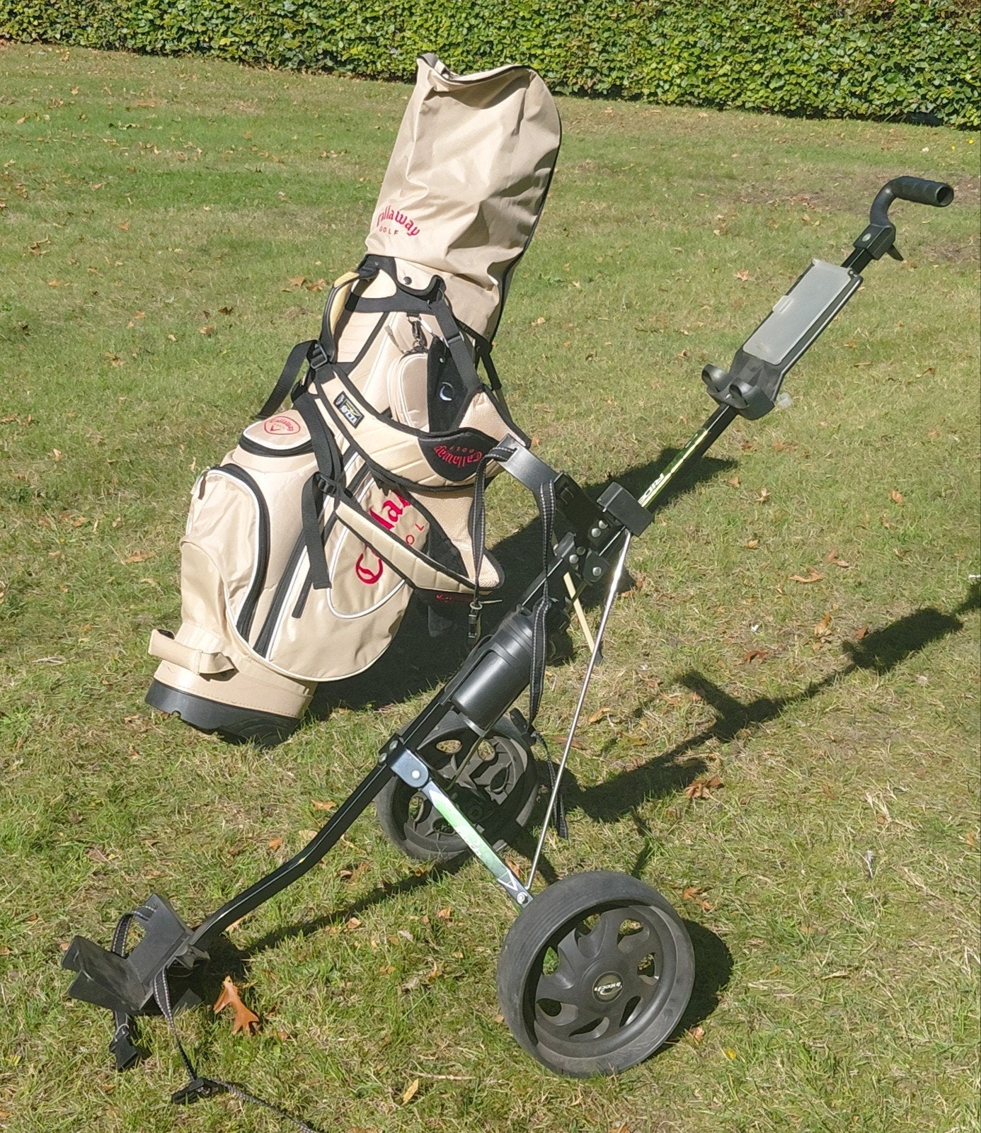 Linkshandige dames golfset Snake Eyes met trolley en tas
