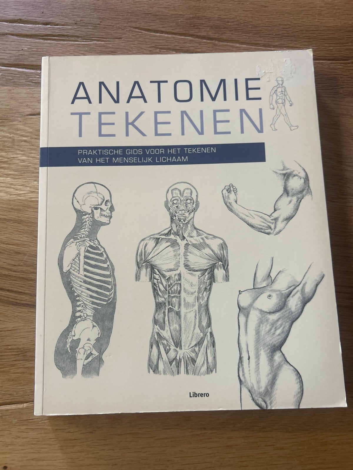 Anatomie Tekenen: Praktische Gids Menselijk Lichaam, Boeken, Hobby en Vrije tijd, Ophalen of Verzenden, Zo goed als nieuw