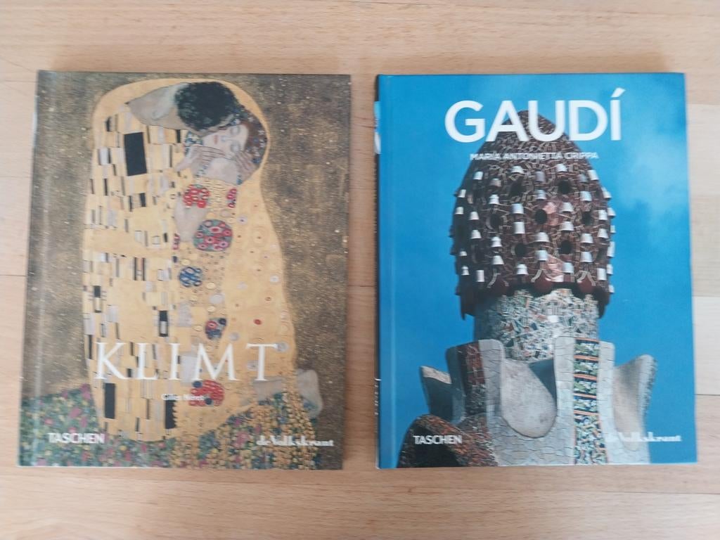 Klimt en Gaudi - Taschen uitgave, Boeken, Ophalen of Verzenden, Zo goed als nieuw, Architecten