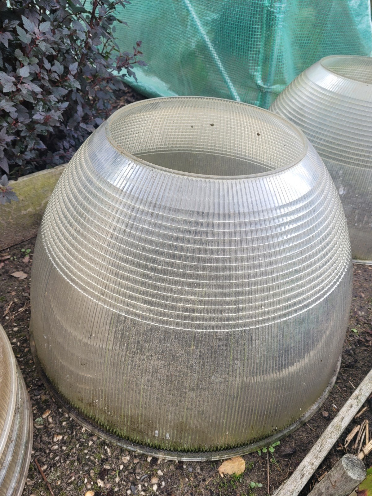 Ronde kassen voor in de moestuin., Ophalen, Overige materialen, Plastic, Kweekkas
