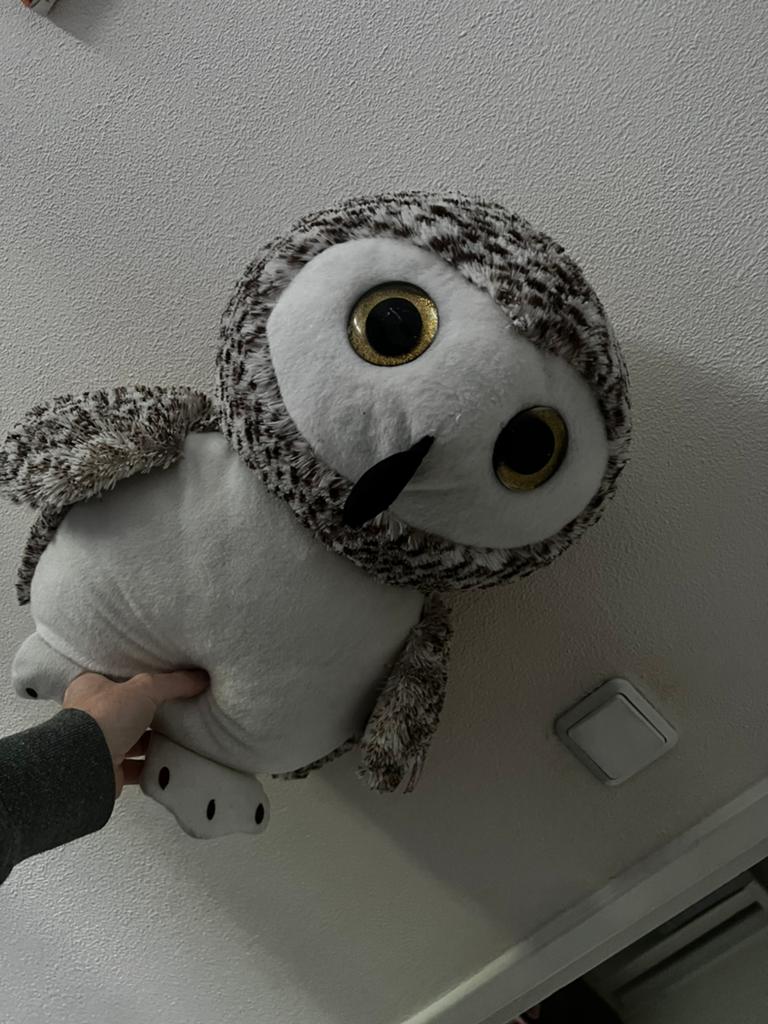 Knuffels, Dieren en Toebehoren, Geslacht onbekend, Papegaai